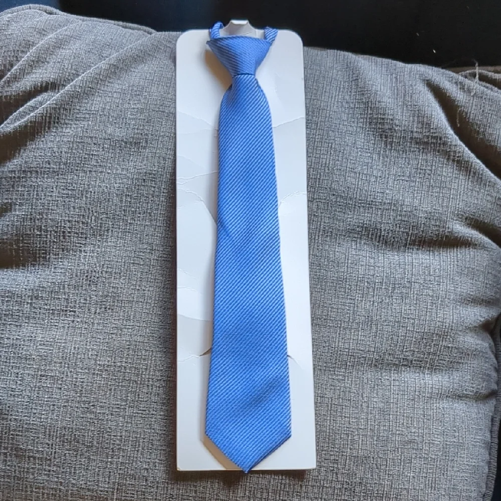Elegant Blue Necktie
